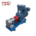 2CY series stainless steel gear pump sunflower oil pump soybean oil transfer pump